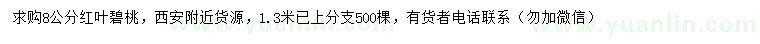 求購8公分紅葉碧桃