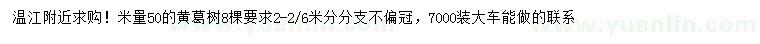 求購米徑量50公分黃葛樹