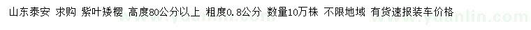 求購高80公分以上紫葉矮櫻