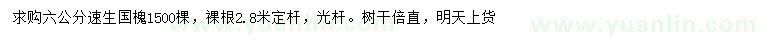 求購6公分速生國槐