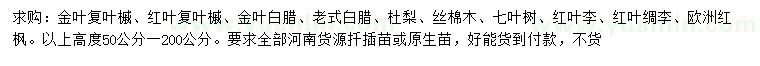 求購(gòu)金葉復(fù)葉槭、紅葉復(fù)葉槭、金葉白臘等
