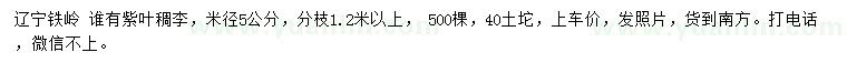 求購米徑5公分紫葉稠李