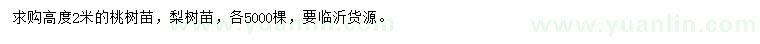 求購高2米桃樹苗、梨樹苗