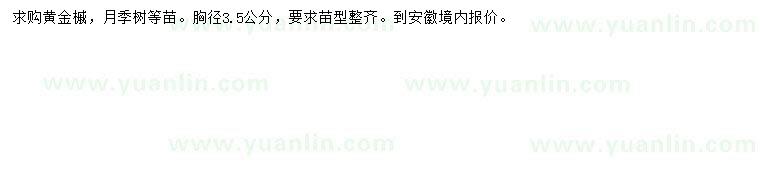 求購胸徑3.5公分黃金槭、月季苗