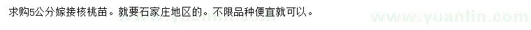 求購5公分嫁接核桃苗