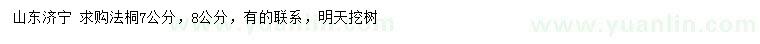 求購7、8公分法桐