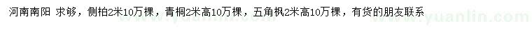 求購側(cè)柏、青桐、五角楓