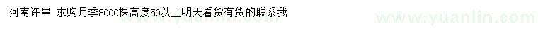 求購高50公分以上月季