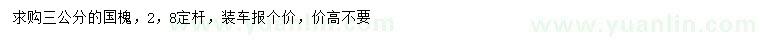 求購3公分國槐