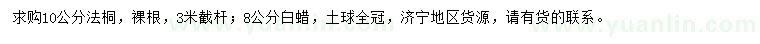 求購(gòu)10公分法桐、8公分白蠟