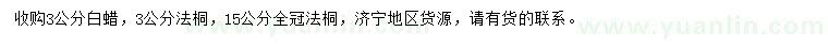 求購(gòu)3公分白蠟、3、15公分法桐