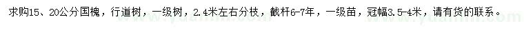 求購15、20公分國槐