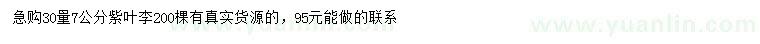求購30量7公分紫葉李