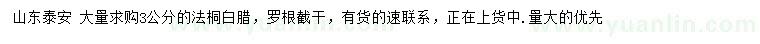 求購3公分法桐、白臘