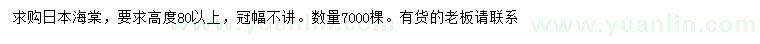求購(gòu)高80公分以上日本海棠