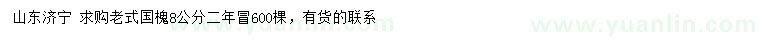 求購8公分老式國槐