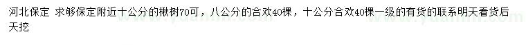 求購10公分楸樹、8、10公分合歡