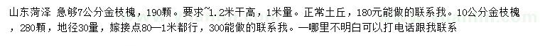 求購7、10公分金枝槐