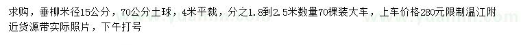 求購米徑15公分垂柳