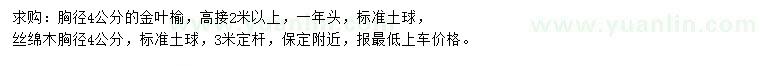 求購胸徑4公分金葉榆、絲棉木