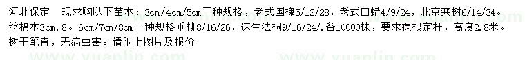 求購(gòu)老式國(guó)槐、老式白蠟、北京欒樹(shù)等
