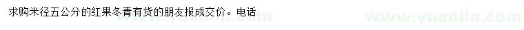 求購米徑5公分紅果冬青