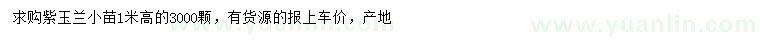 求購高1米紫玉蘭小苗