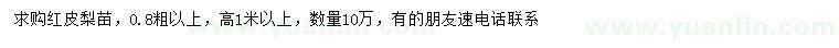 求購(gòu)高1米以上紅皮梨苗