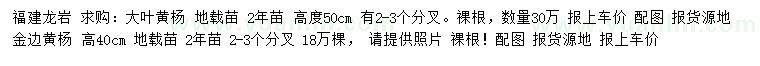 求購(gòu)高50公分大葉黃楊、40公分金邊黃楊