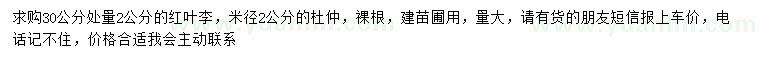 求購30公分處量2公分紅葉李、米徑2公分杜仲