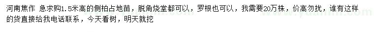 求購高1.5米側(cè)柏占地苗
