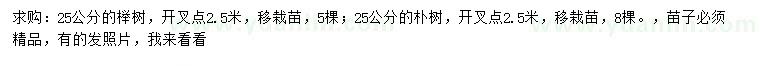 求購25公分櫸樹、樸樹