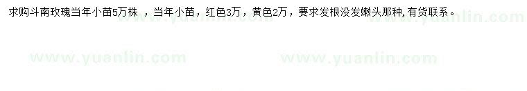 求購斗南玫瑰苗