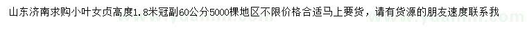 求購(gòu)高1.8米小葉女貞