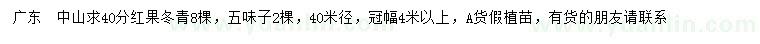 求購40公分紅果冬青、五味子