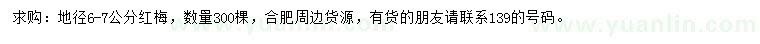 求購地徑6-7公分紅梅