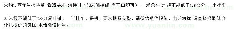 求購地徑1.6公分核桃苗、米徑2公分復(fù)葉槭