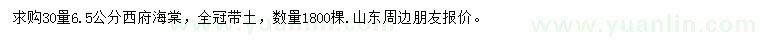 求購30量6.5公分西府海棠