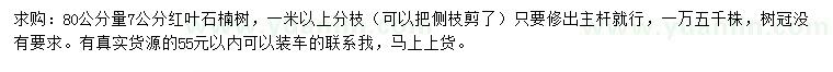 求購(gòu)80公分量7公分紅葉石楠樹(shù)