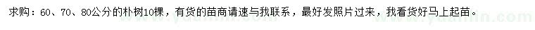 求購60、70、80公分樸樹