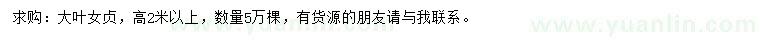 求購高2米以上大葉女貞