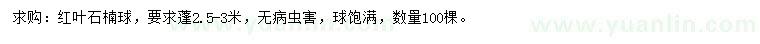 求購蓬2.5-3米紅葉石楠球