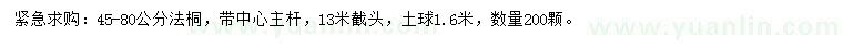 求購45-80公分法桐
