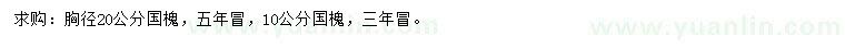 求購(gòu)胸徑10、20公分國(guó)槐