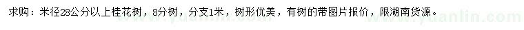 求購(gòu)米徑28公分以上桂花