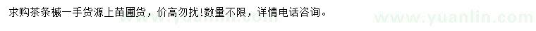 求購(gòu)茶條槭