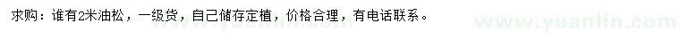 求購2米油松