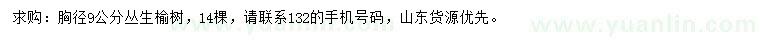 求購胸徑9公分榆樹