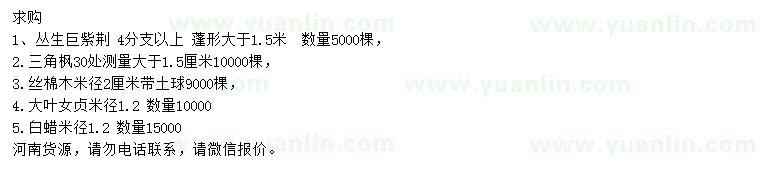 求購叢生巨紫荊、三角楓、絲棉木等