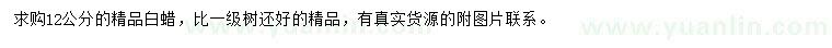 求購(gòu)12公分精品白蠟